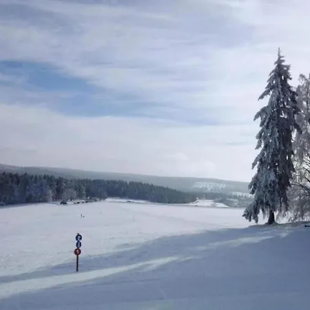 شقة Near Cable Car With Valley Views فييسوناز