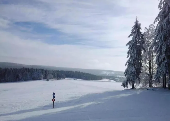 Appartement Near Cable Car With Valley Views Veysonnaz